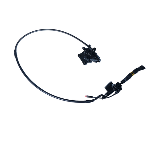 Cobra Rear Brake Lever Assembly